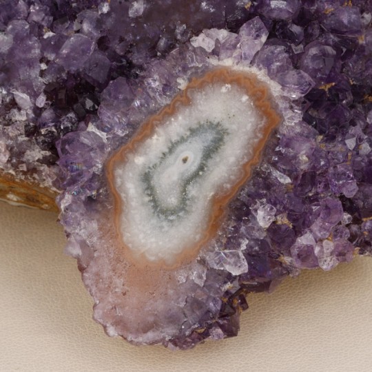 Teil der Amethyst-Geode mit Rose