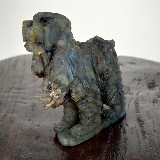Sculpture Cane Setter in Labradorite