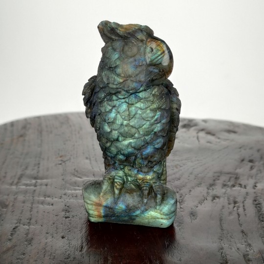 Pappagallo sculpture in Labradorite