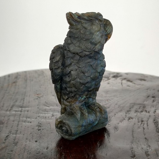 Pappagallo sculpture in Labradorite