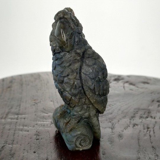 Pappagallo sculpture in Labradorite