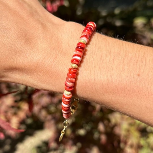 Bracelet on Spiny Shell Cave