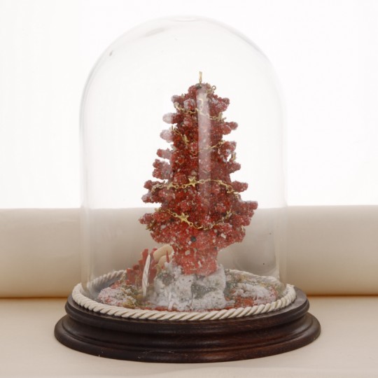 Árbol de Navidad de coral bajo campana de cristal