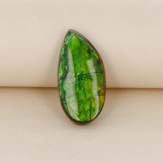 Ammolite Shape Fantasia