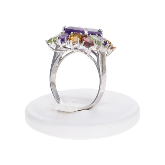 Ring of Amethyst and Contour of Multipietre