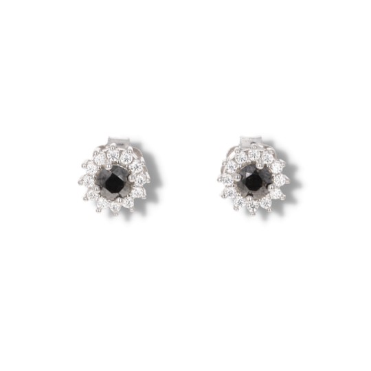 Earrings with Diamond and Moissanite