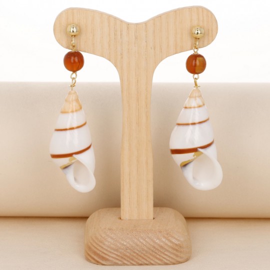 Pendant and Earrings Gasteropode Shell