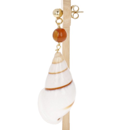 Pendant and Earrings Gasteropode Shell