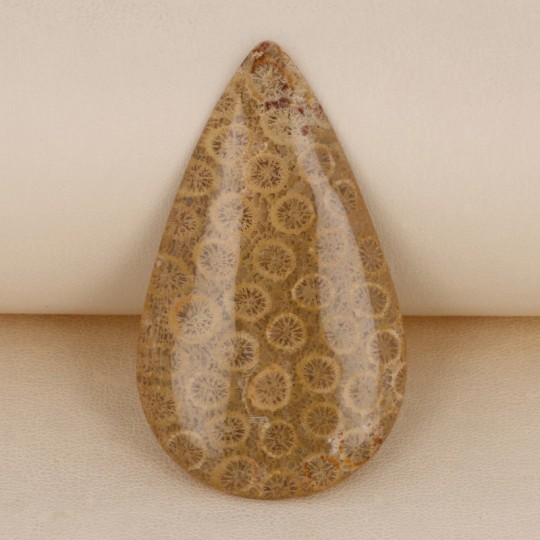 Coral Stone Agatizzato Cabochon in Goccia