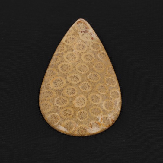 Coral Stone Agatizzato Cabochon in Goccia