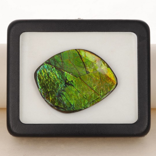 Stone of Ammolite Shape Fantasy