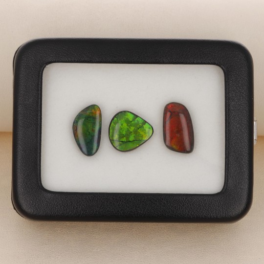 Lotto 3 Pietre Ammolite Cabochon Fantasia