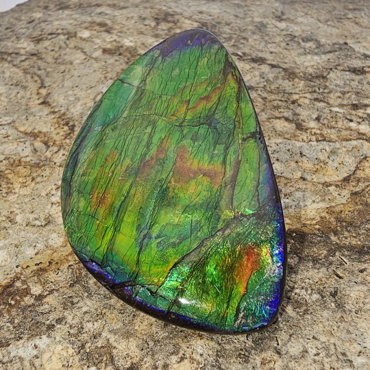 Piedra Ammolite Forma Fantasia