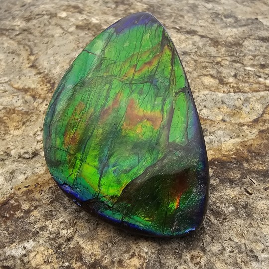 Piedra Ammolite Forma Fantasia