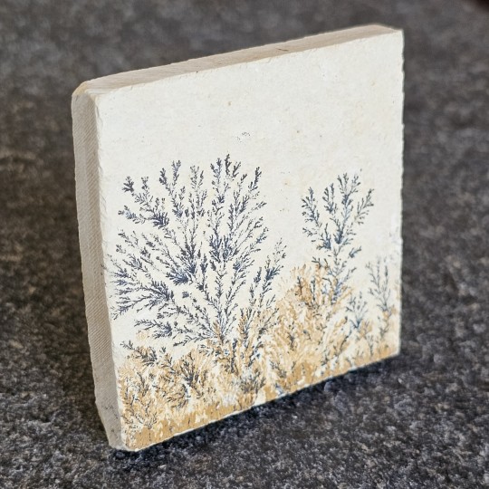 Stone Square Lithographic limestone