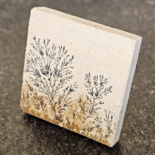 Stone Square Lithographic limestone