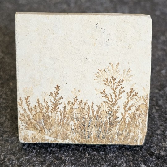 Stone Square Lithographic limestone