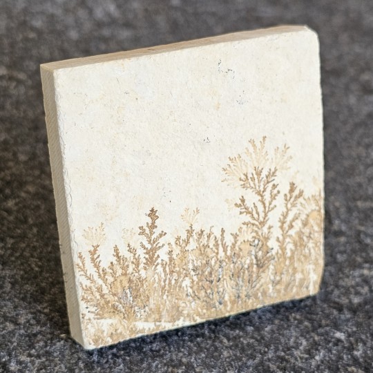 Stone Square Lithographic limestone