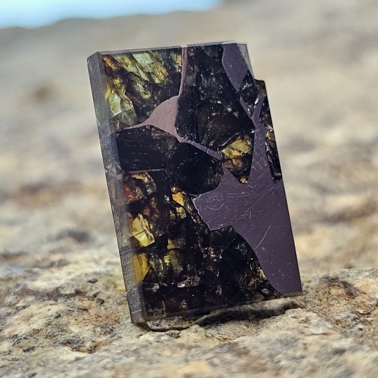 Stein von Pallasite Rechteckig