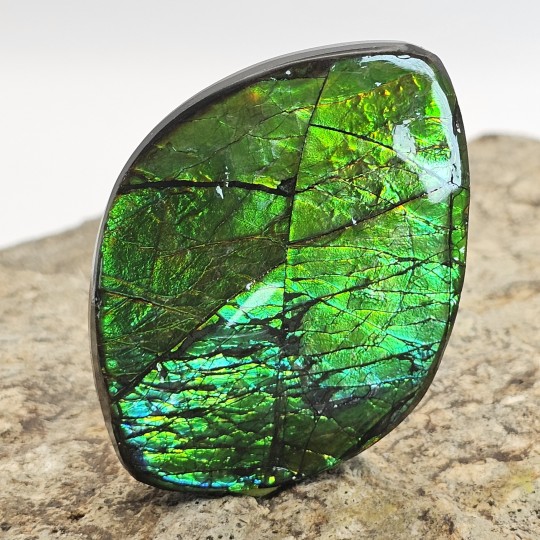 Stone of Ammolite Shape Fantasy