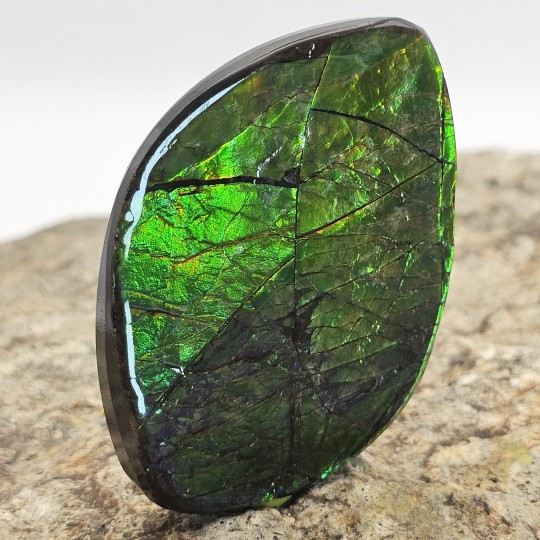 Stone of Ammolite Shape Fantasy