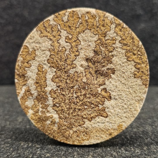 Round Stone of Lithographic Arenaria