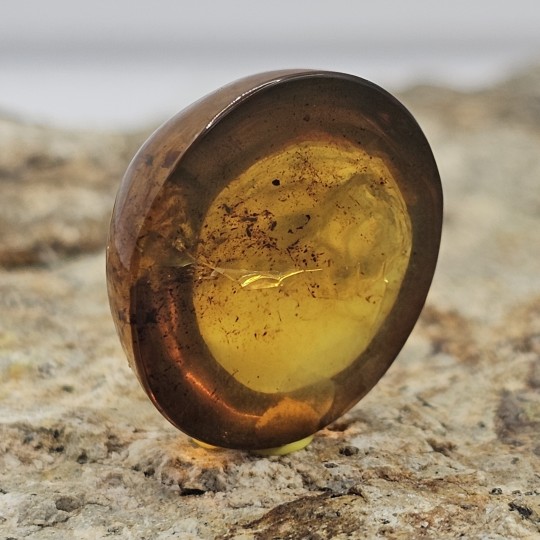 Stone Ambra Mesoamericana Cabochon Round