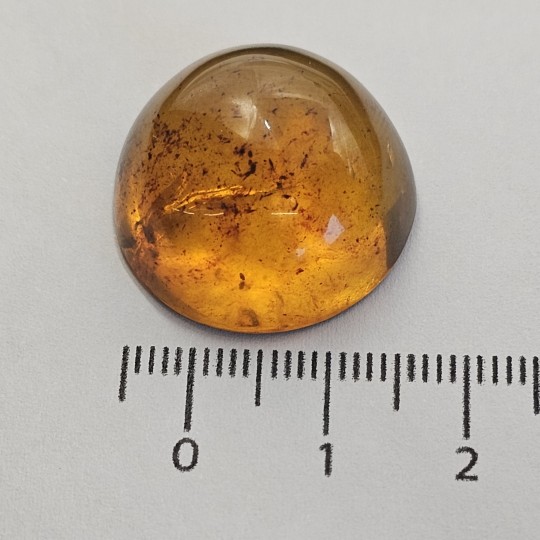 Stone Ambra Mesoamericana Cabochon Round