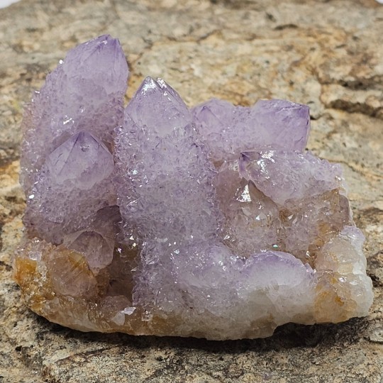 Amethyststein (Cluster)