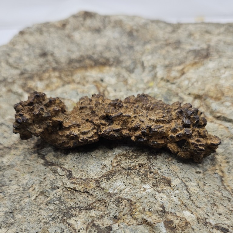 pendente coprolite taglio a sasso